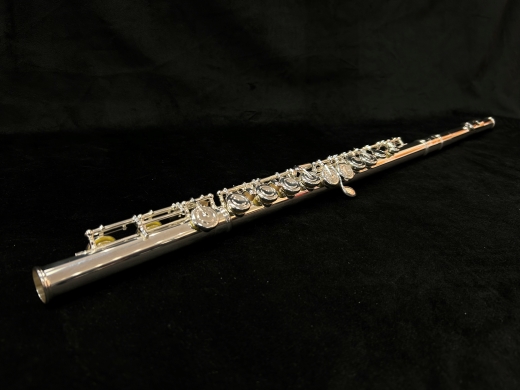 Store Special Product - Yamaha Band - YFL222